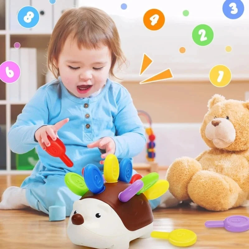 Hedgehog Sorting Toy with Numbered Colourful Pieces