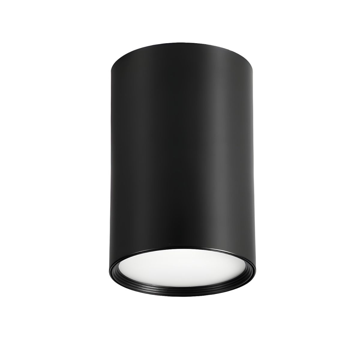 Modern Black LED Cylinder Ceiling Light Fixture | Lampio