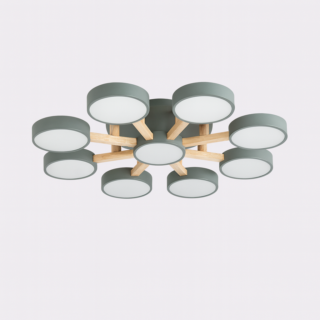 Nordic Acrylic Cluster Ceiling Light for Indoor Use | Evoria