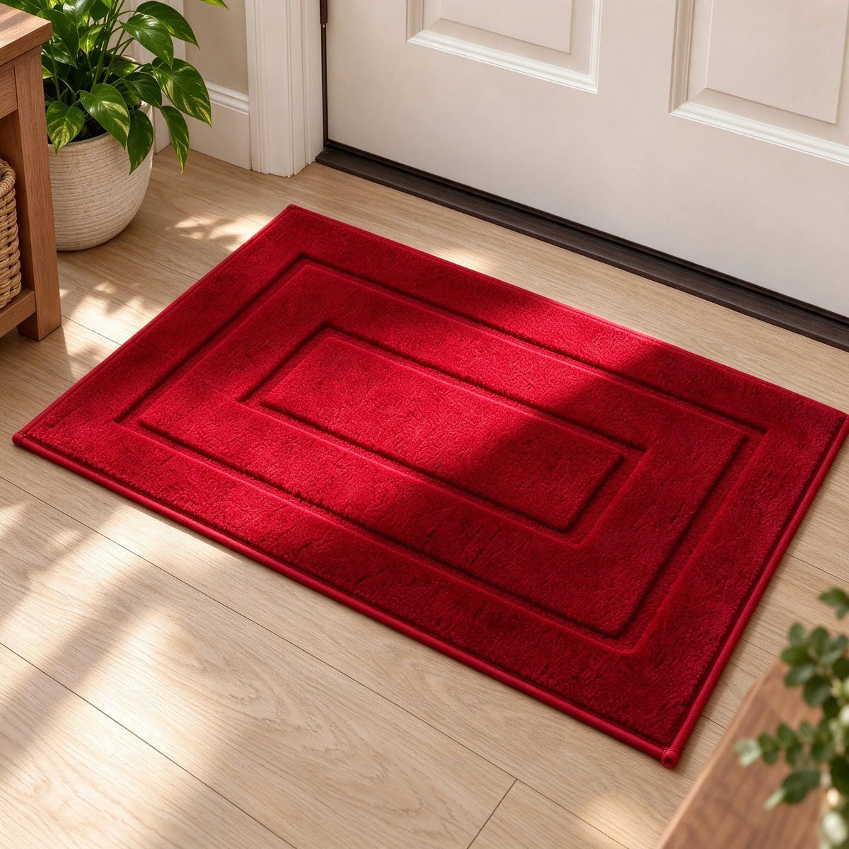 Absorbent Indoor Floor Door Mat