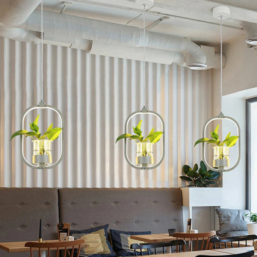 Acrylic LED Nordic Pendant Light Dining Room Suspension | Zykrona