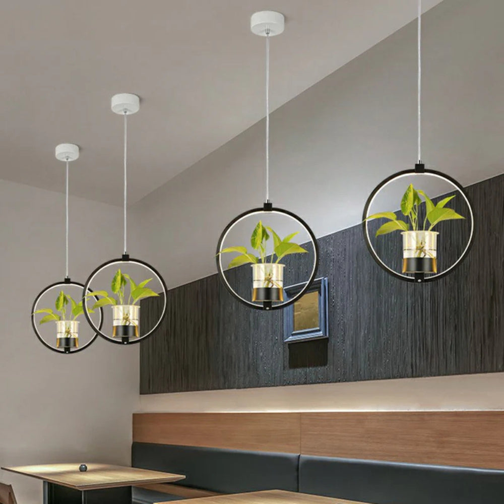 Acrylic LED Nordic Pendant Light Dining Room Suspension | Zykrona