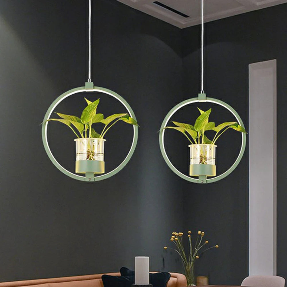 Acrylic LED Nordic Pendant Light Dining Room Suspension | Zykrona