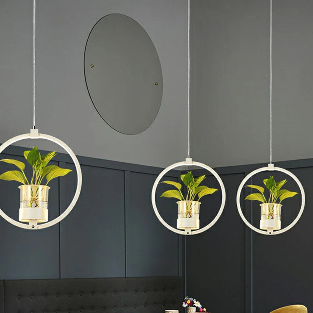Acrylic LED Nordic Pendant Light Dining Room Suspension | Zykrona
