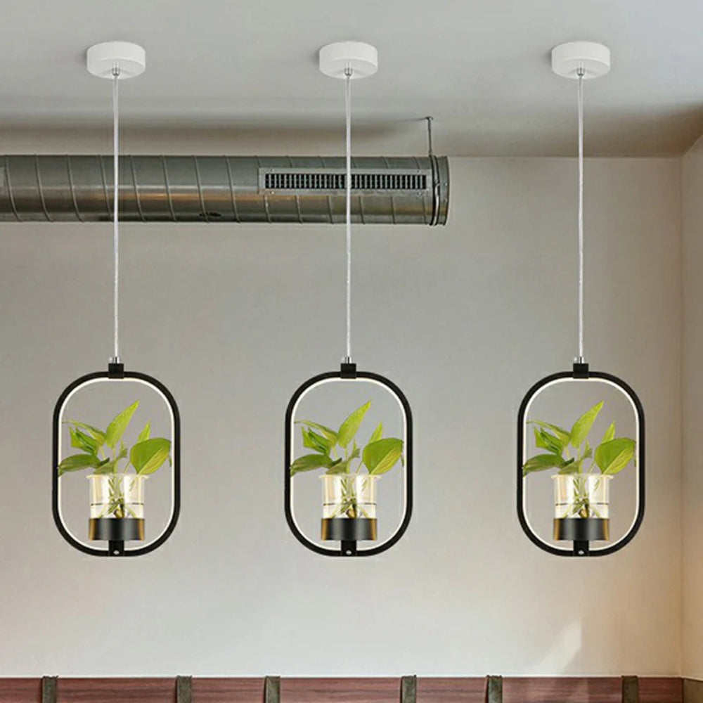 Acrylic LED Nordic Pendant Light Dining Room Suspension | Zykrona