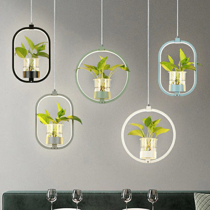 Acrylic LED Nordic Pendant Light Dining Room Suspension | Zykrona