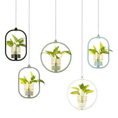 Acrylic LED Nordic Pendant Light Dining Room Suspension | Zykrona