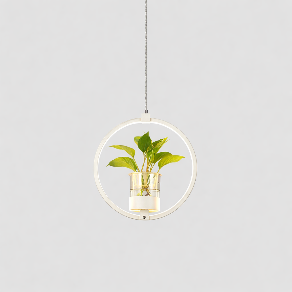 Acrylic LED Nordic Pendant Light Dining Room Suspension | Zykrona