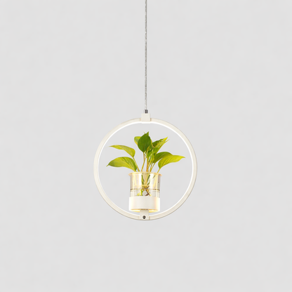 Acrylic LED Nordic Pendant Light Dining Room Suspension | Zykrona