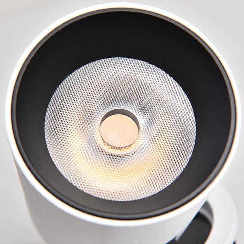 Adjustable Nordic Metal Ceiling Light Compact | Delnora
