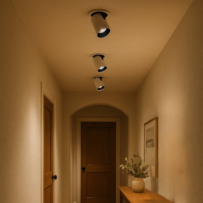 Adjustable Nordic Metal Ceiling Light Compact | Delnora