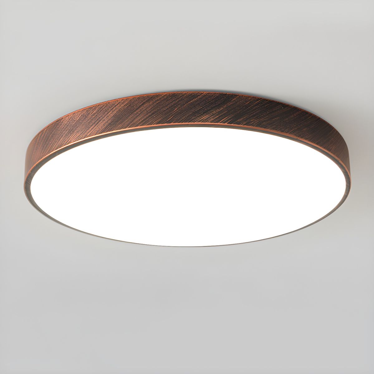 Ceiling LED Flush Mount Light Metal Modern Style | Lurenta