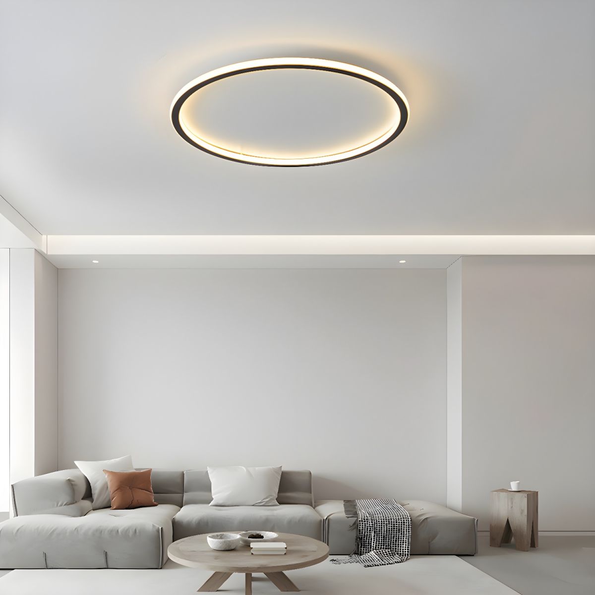 Ceiling LED Light Round Nordic Flush Mount with Remote | Lightra