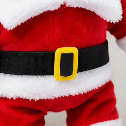 Christmas Dog Santa Costume Set