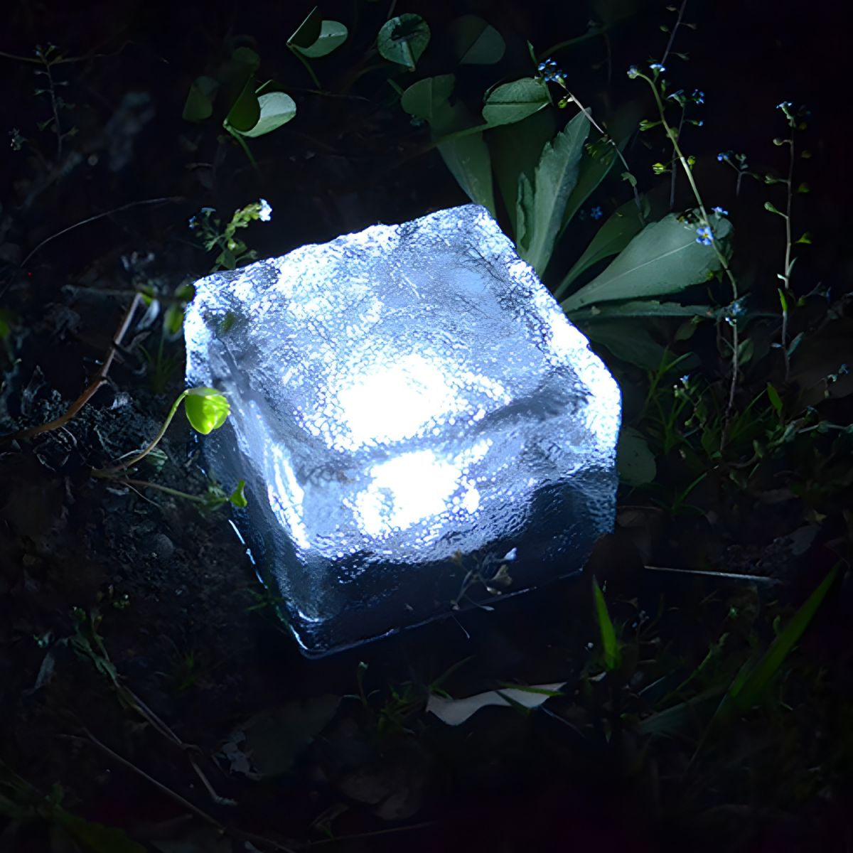 Clear Glass Solar Ground Lamp for Outdoor Paths | Fenvra