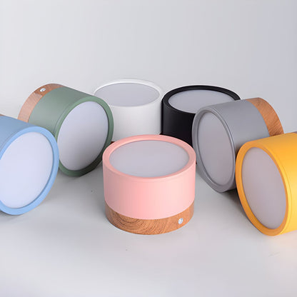 Compact Nordic LED Cylinder Flush Mount Ceiling Light | Nordela