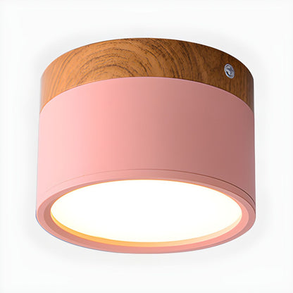 Compact Nordic LED Cylinder Flush Mount Ceiling Light | Nordela