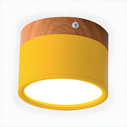Compact Nordic LED Cylinder Flush Mount Ceiling Light | Nordela