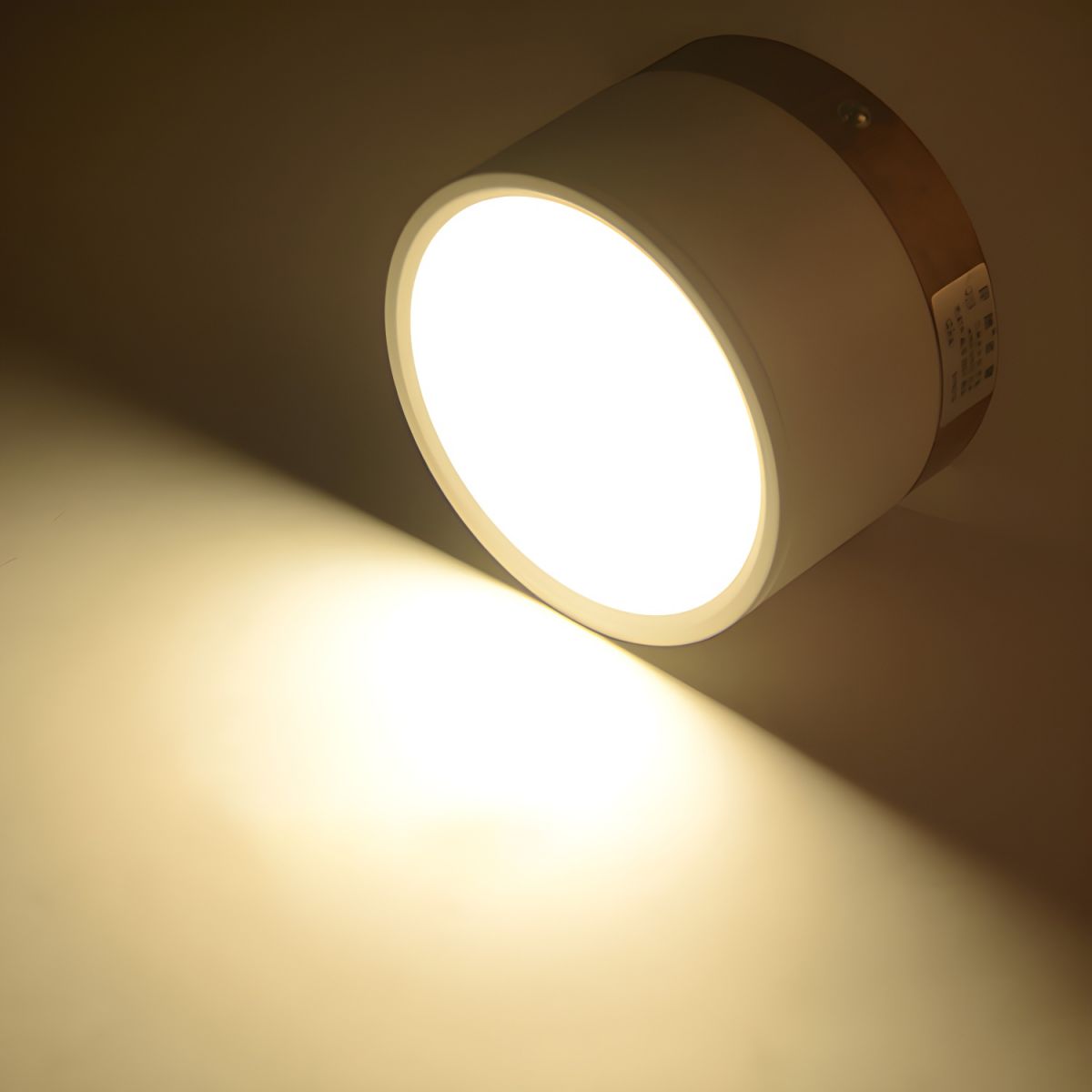 Compact Nordic LED Cylinder Flush Mount Ceiling Light | Nordela