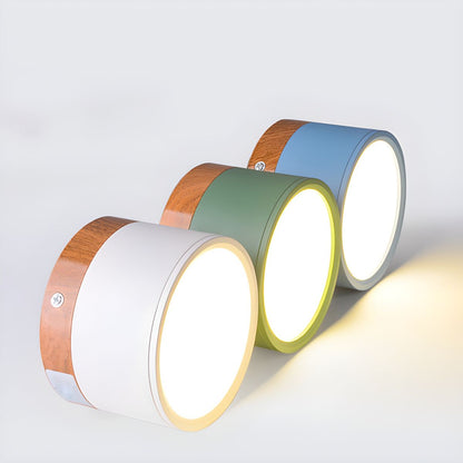 Compact Nordic LED Cylinder Flush Mount Ceiling Light | Nordela