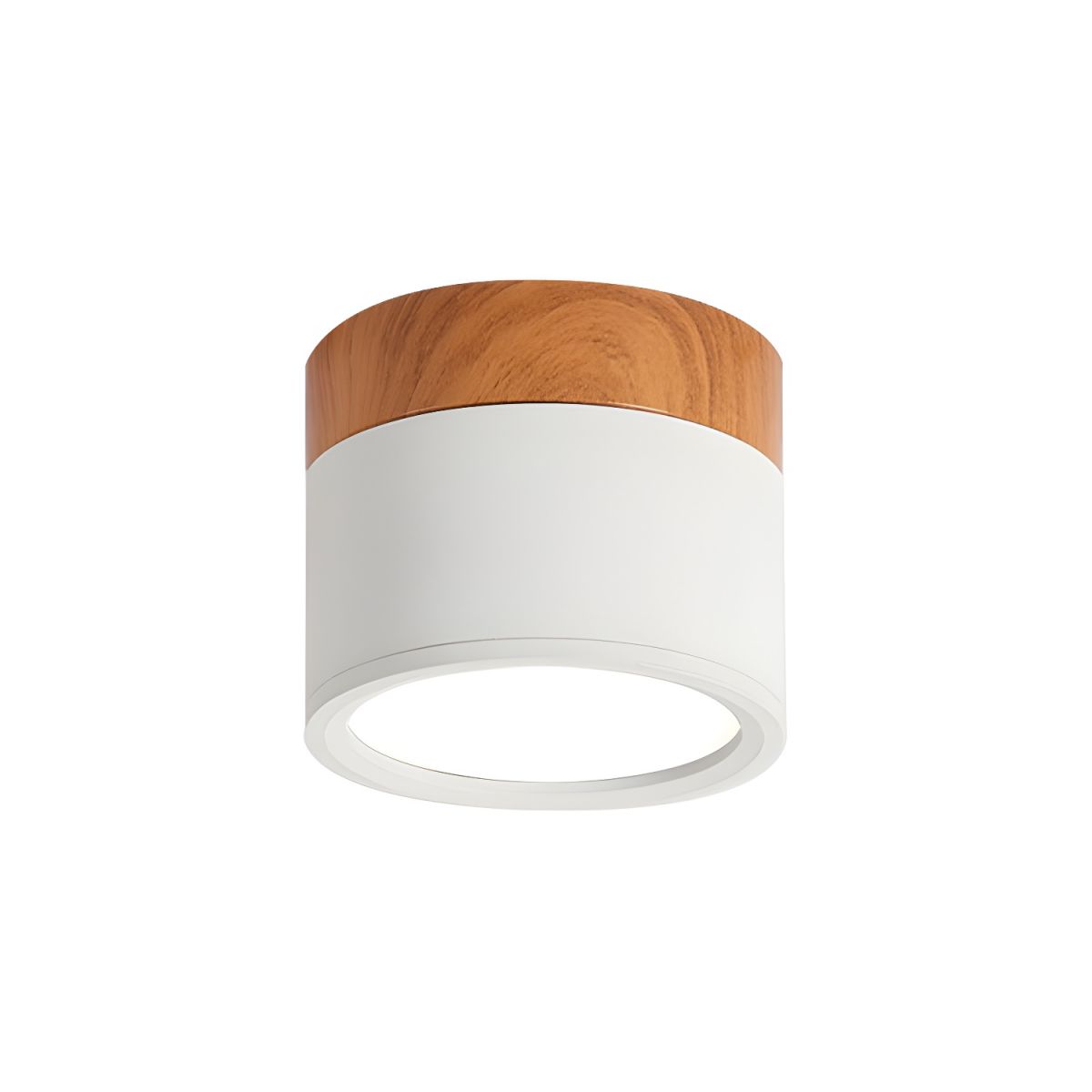 Compact Nordic Metal LED Flush Mount Ceiling Light | Domero