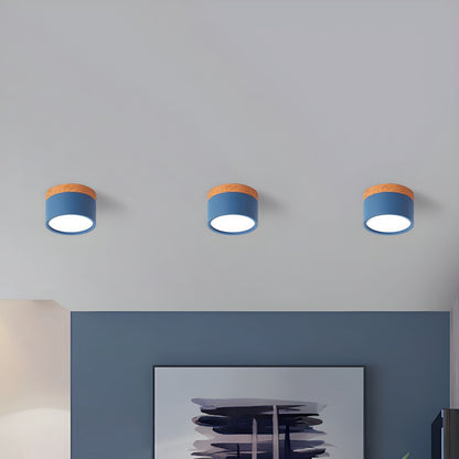 Compact Nordic Metal LED Flush Mount Ceiling Light | Domero
