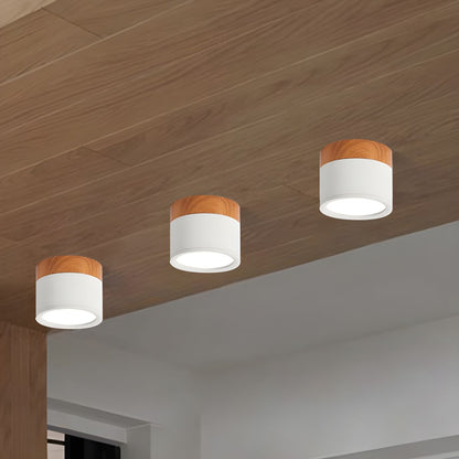 Compact Nordic Metal LED Flush Mount Ceiling Light | Domero