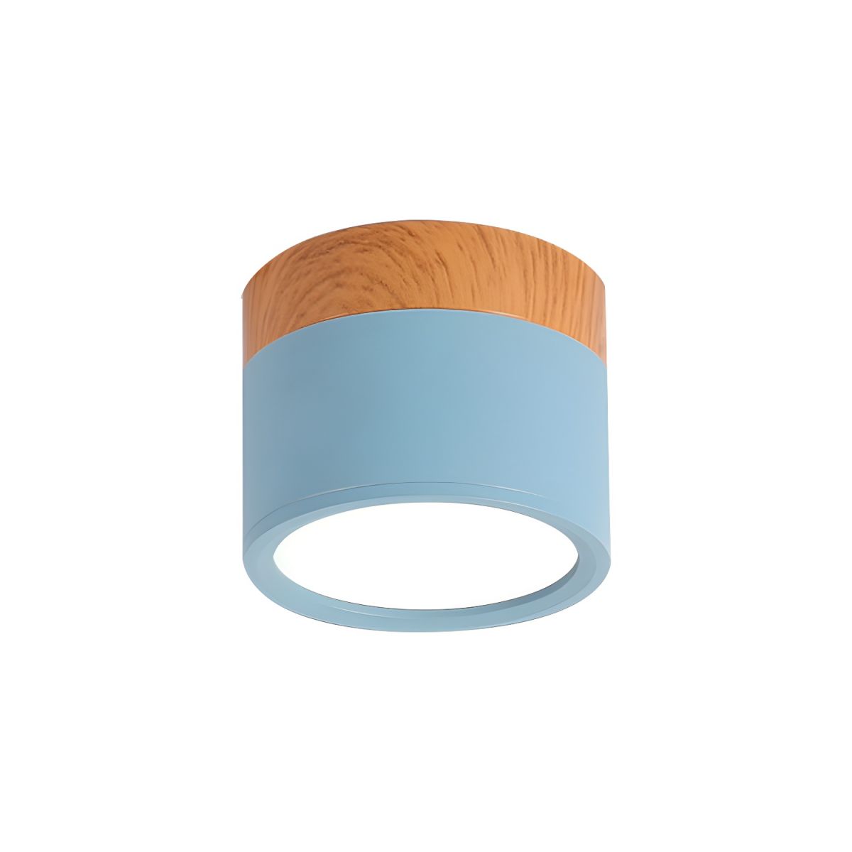 Compact Nordic Metal LED Flush Mount Ceiling Light | Domero