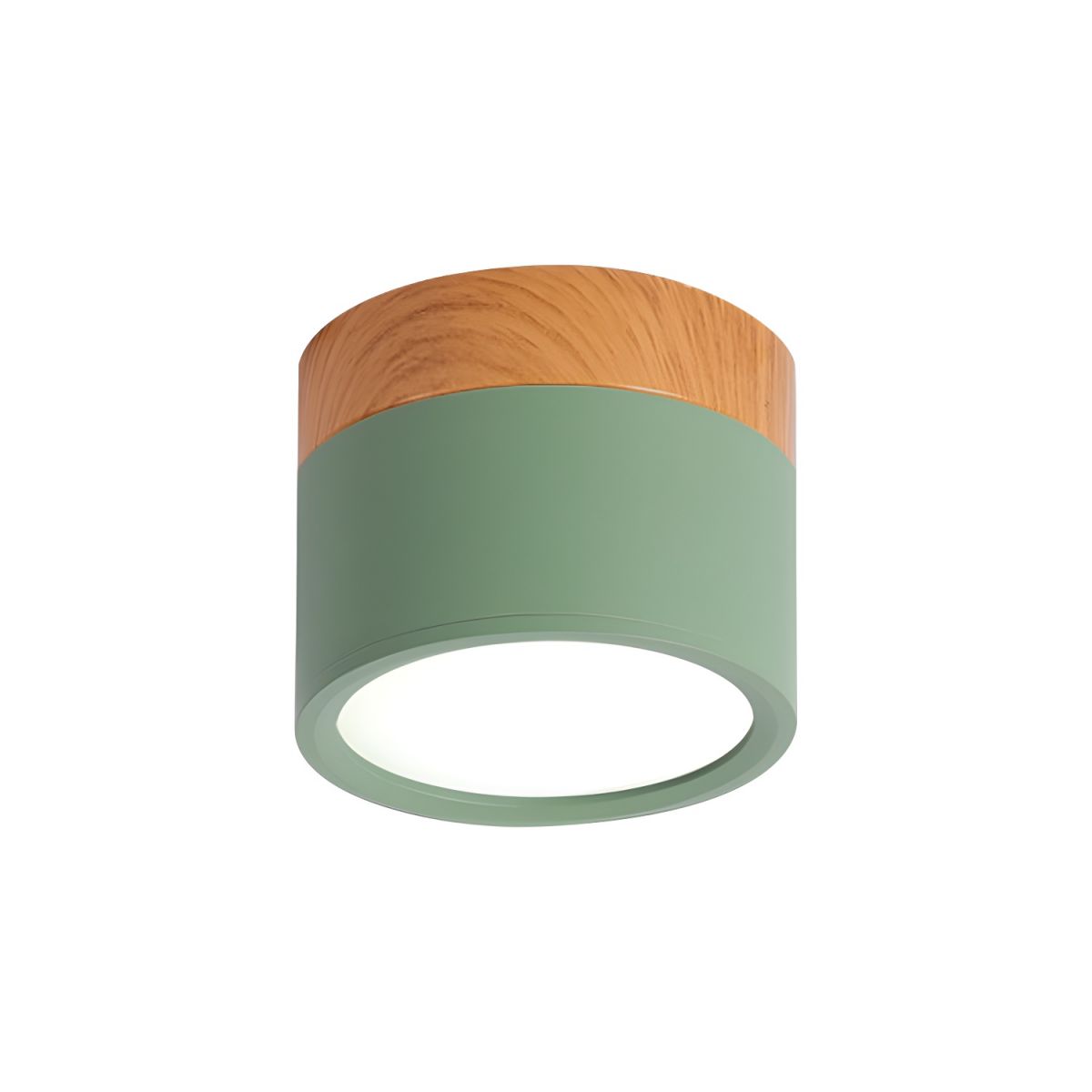 Compact Nordic Metal LED Flush Mount Ceiling Light | Domero