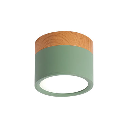 Compact Nordic Metal LED Flush Mount Ceiling Light | Domero