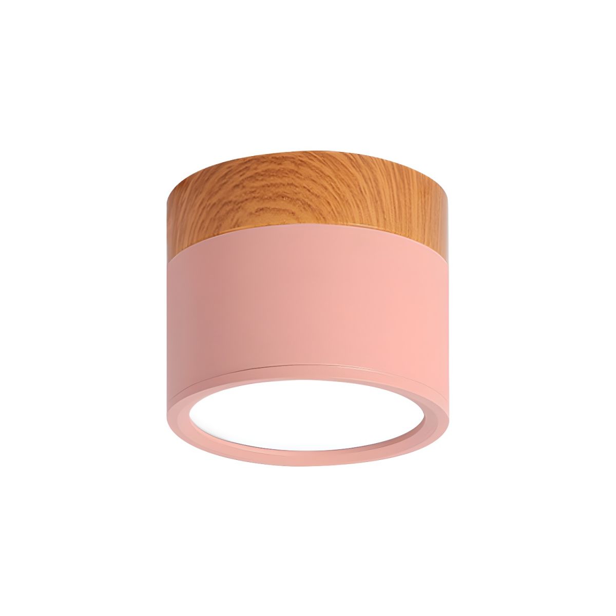 Compact Nordic Metal LED Flush Mount Ceiling Light | Domero