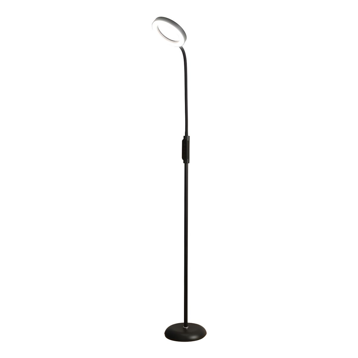 Contemporary LED Floor Lamp With Adjustable Metal Form | Lorvane