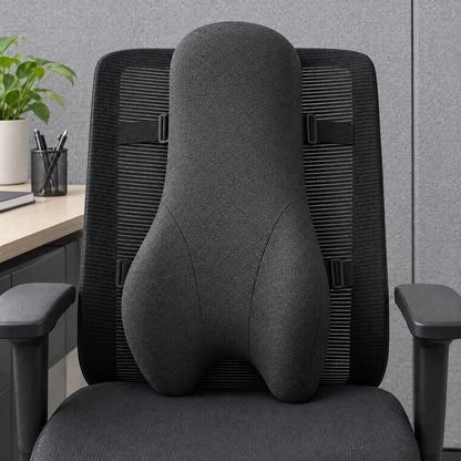 Contoured Back Support Cushion