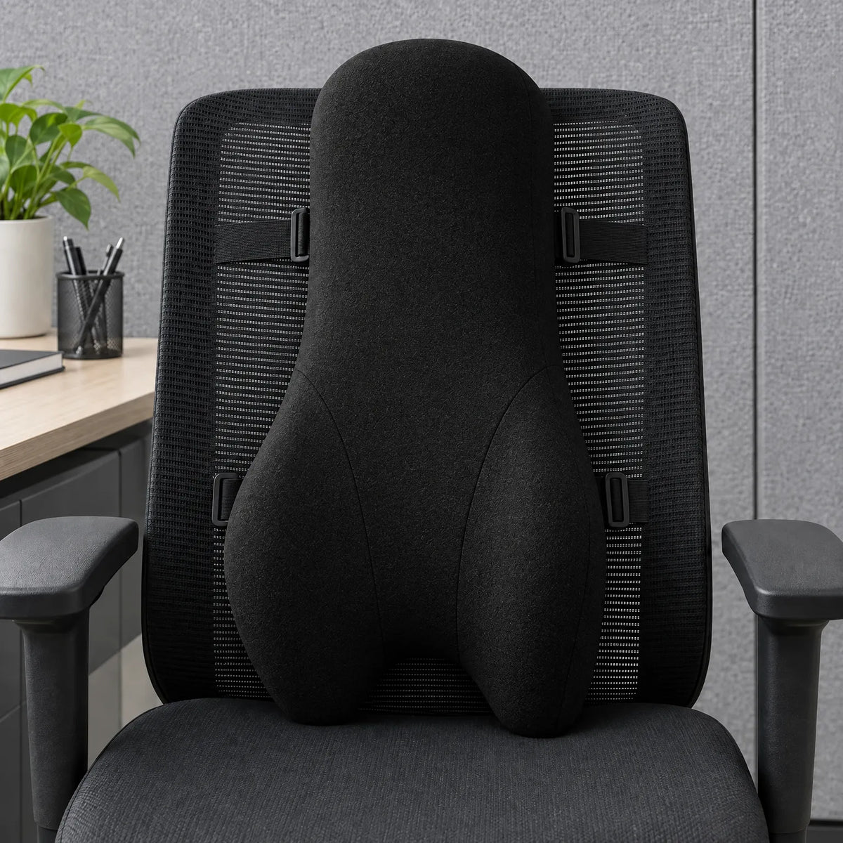 Contoured Back Support Cushion