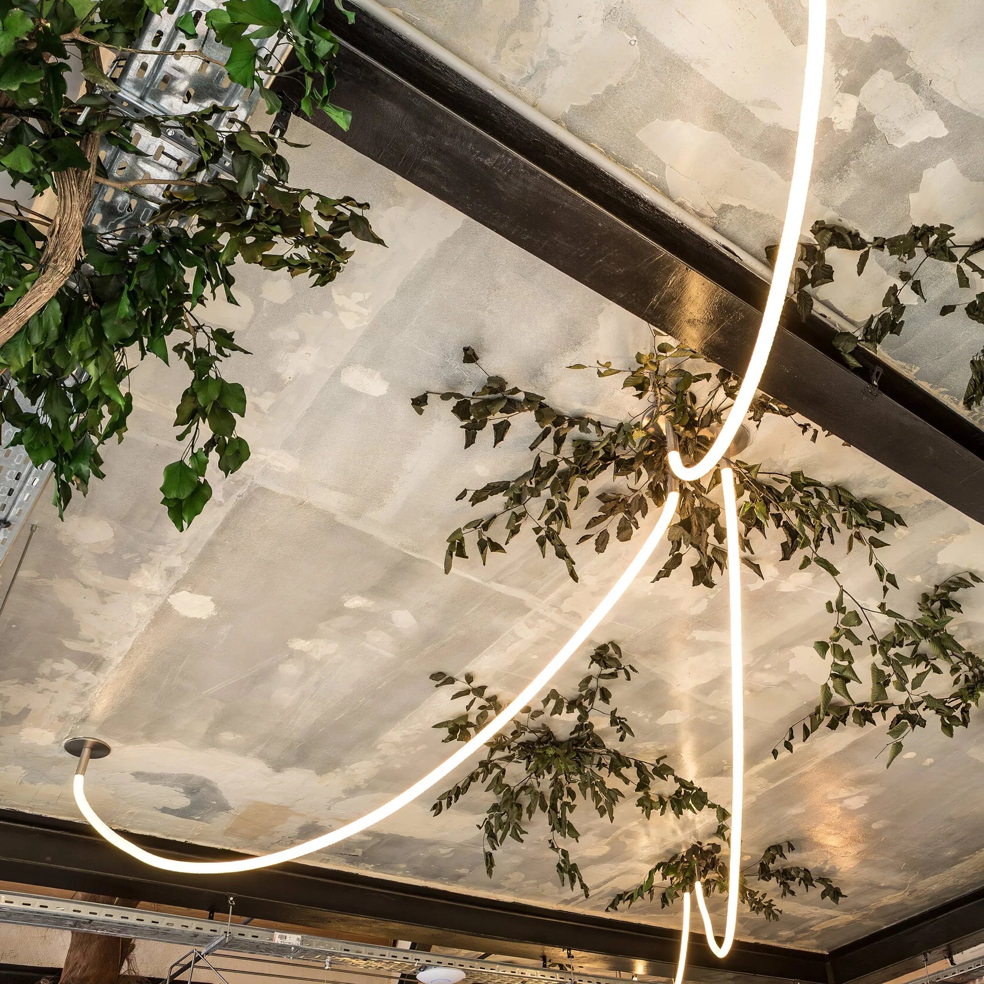Flex LED Pendant Light for Modern Interior Spaces | Trevano