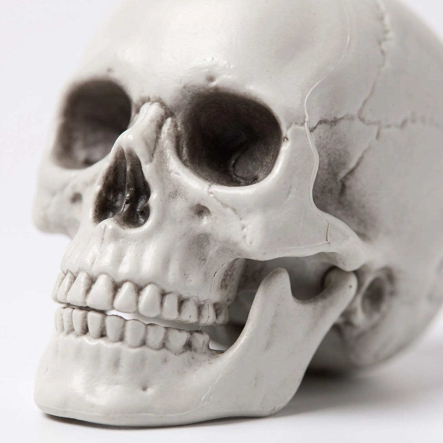 Halloween Skeleton Hanging Posable Scary Haunted House Decoration