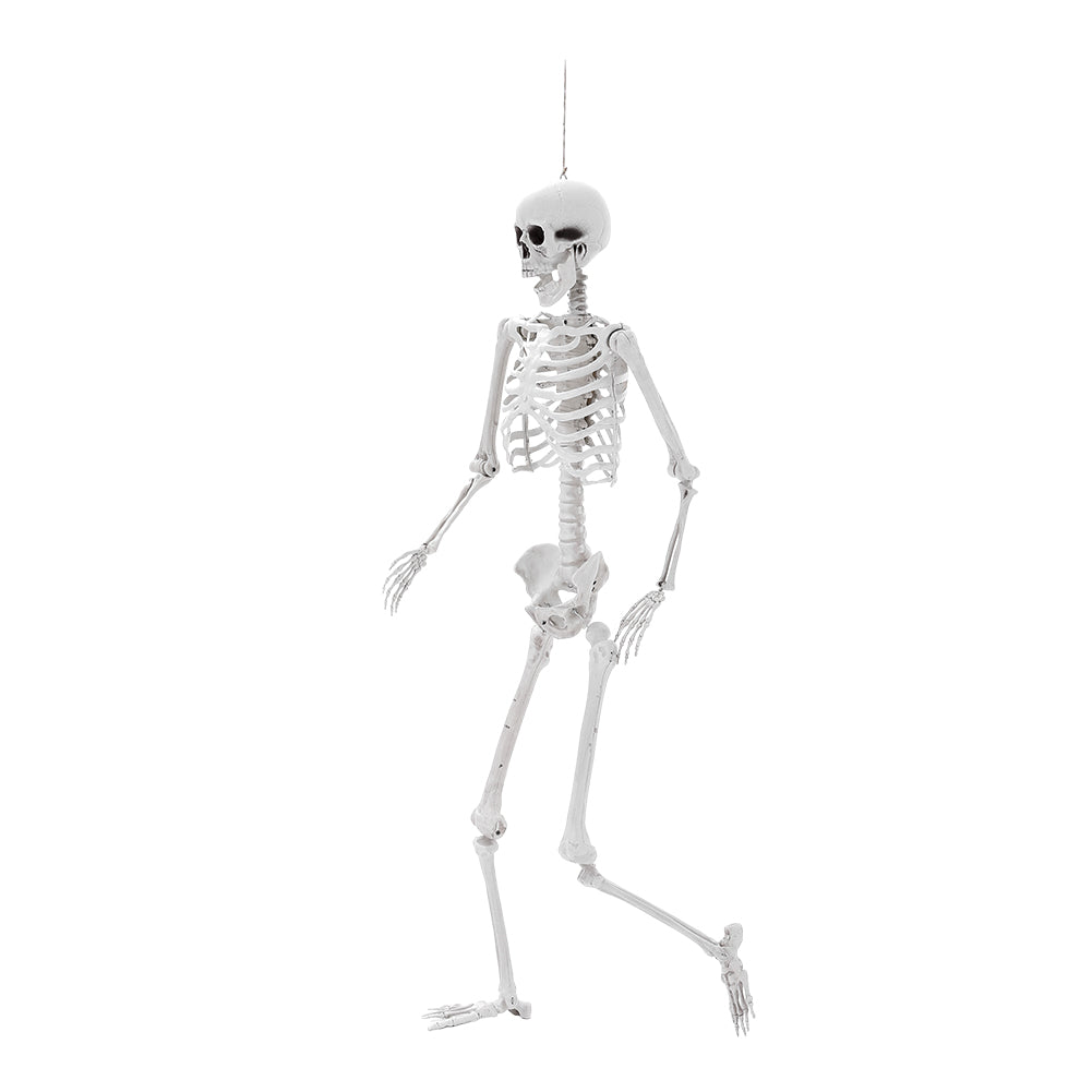 Life Size Poseable Halloween Skeleton Decoration