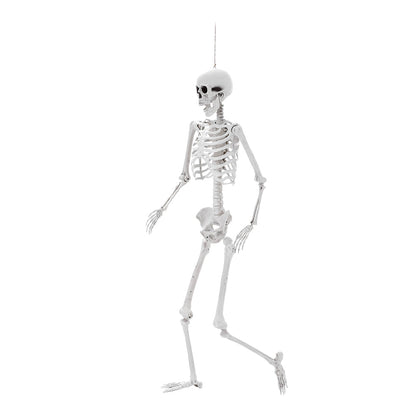 Life Size Poseable Halloween Skeleton Decoration