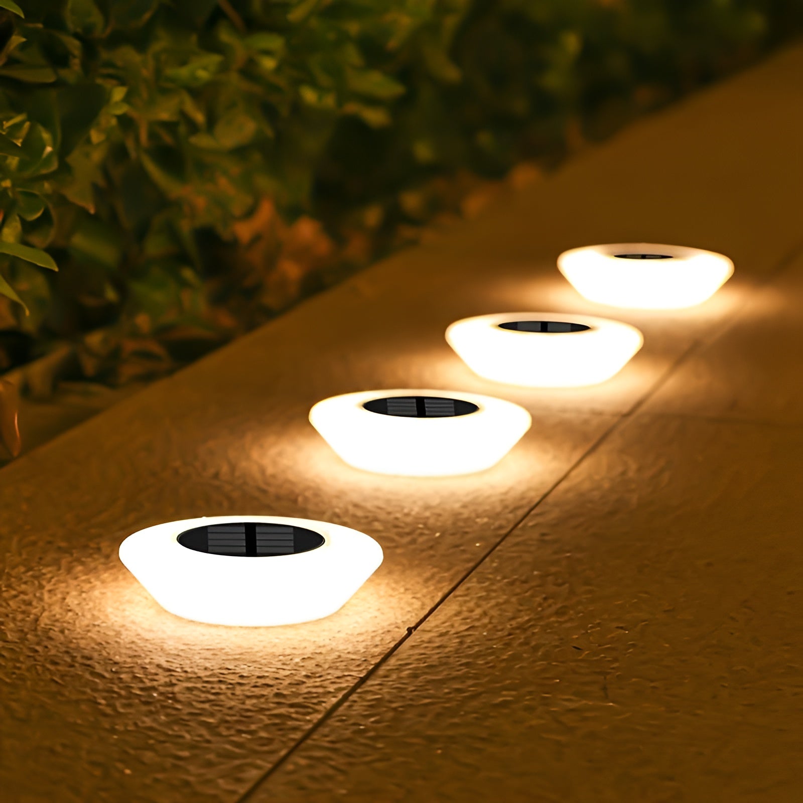 Low Profile Warm White Solar LED Garden Path Light | Solenya