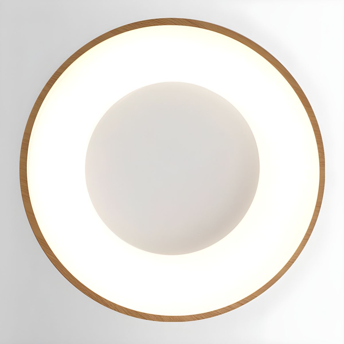 Modern Ceiling Light with Dimmable LED Acrylic Shade | Luminor