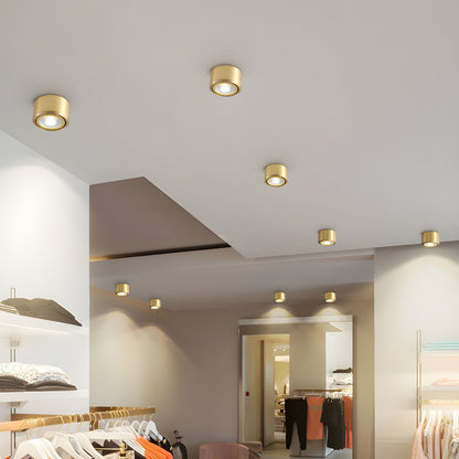 Modern Gold LED Flush Mount Ceiling Light Fixture | Lamane