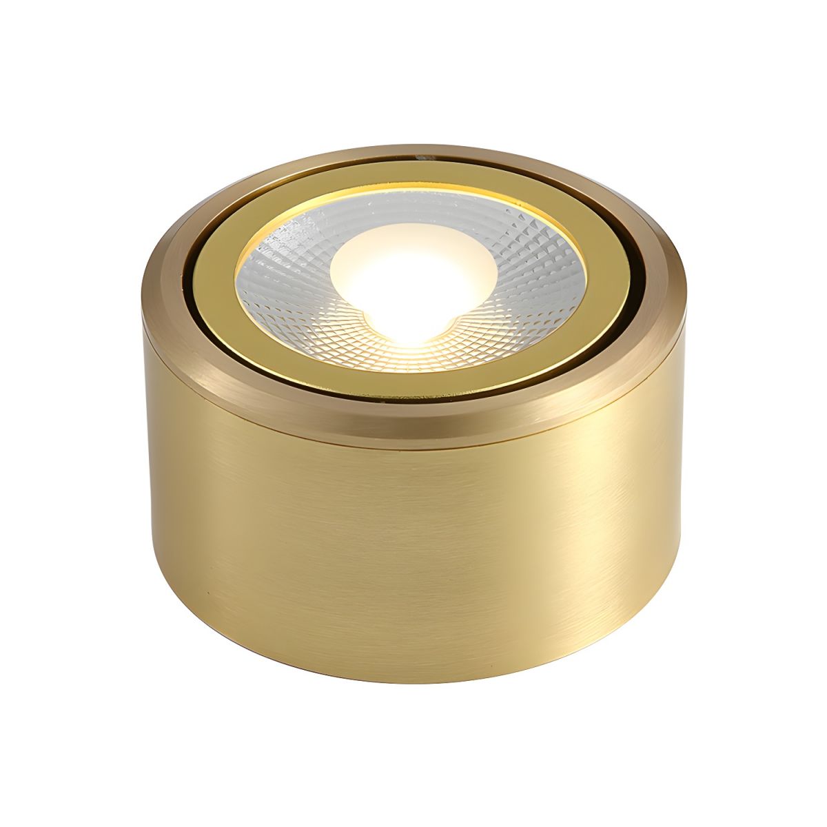 Modern Gold LED Flush Mount Ceiling Light Fixture | Lamane