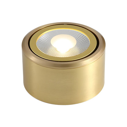 Modern Gold LED Flush Mount Ceiling Light Fixture | Lamane