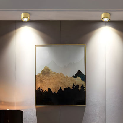 Modern Gold LED Flush Mount Ceiling Light Fixture | Lamane