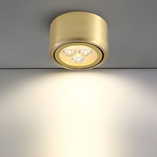 Modern Gold LED Flush Mount Ceiling Light Fixture | Lamane