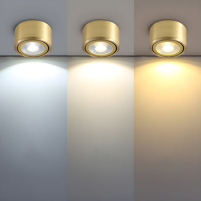 Modern Gold LED Flush Mount Ceiling Light Fixture | Lamane