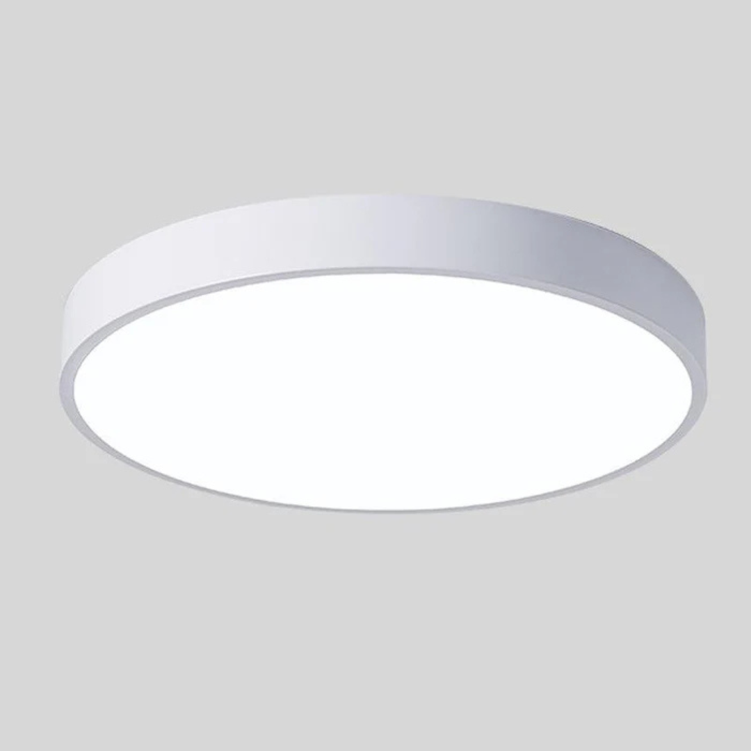 Modern LED Ceiling Light Scandinavian Round Fixture | Zivara
