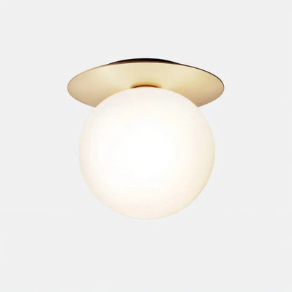 Modern LED Glass Globe Ceiling Lamp Design | Farvyn