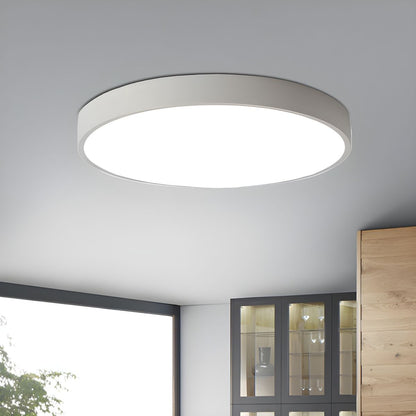 Modern Metal LED Flush Mount Ceiling Light Fixture | Lumeno