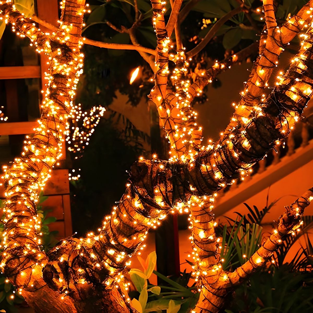 Modern Solar Outdoor String Light with LED Beads | Verina